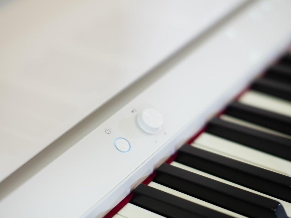 ROLAND LX-9 PW - Góc nhìn thực tế 6